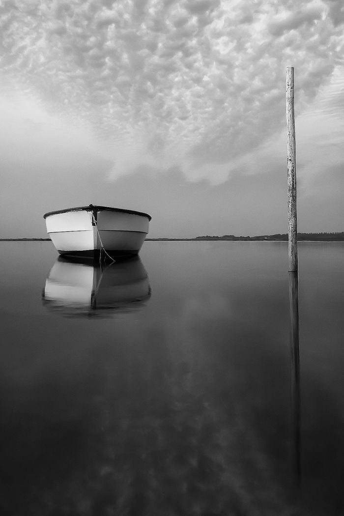 Exploring the Art of Black and White Photography: Mastering Contrast, Texture, and Minimalism