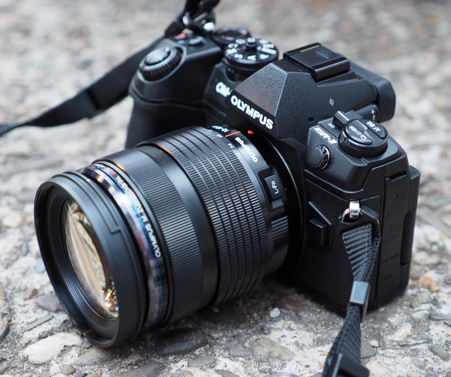 Quelle sangle mains libres appareil photo pour Olympus OM-D E-M1 Mark II - Camstrap