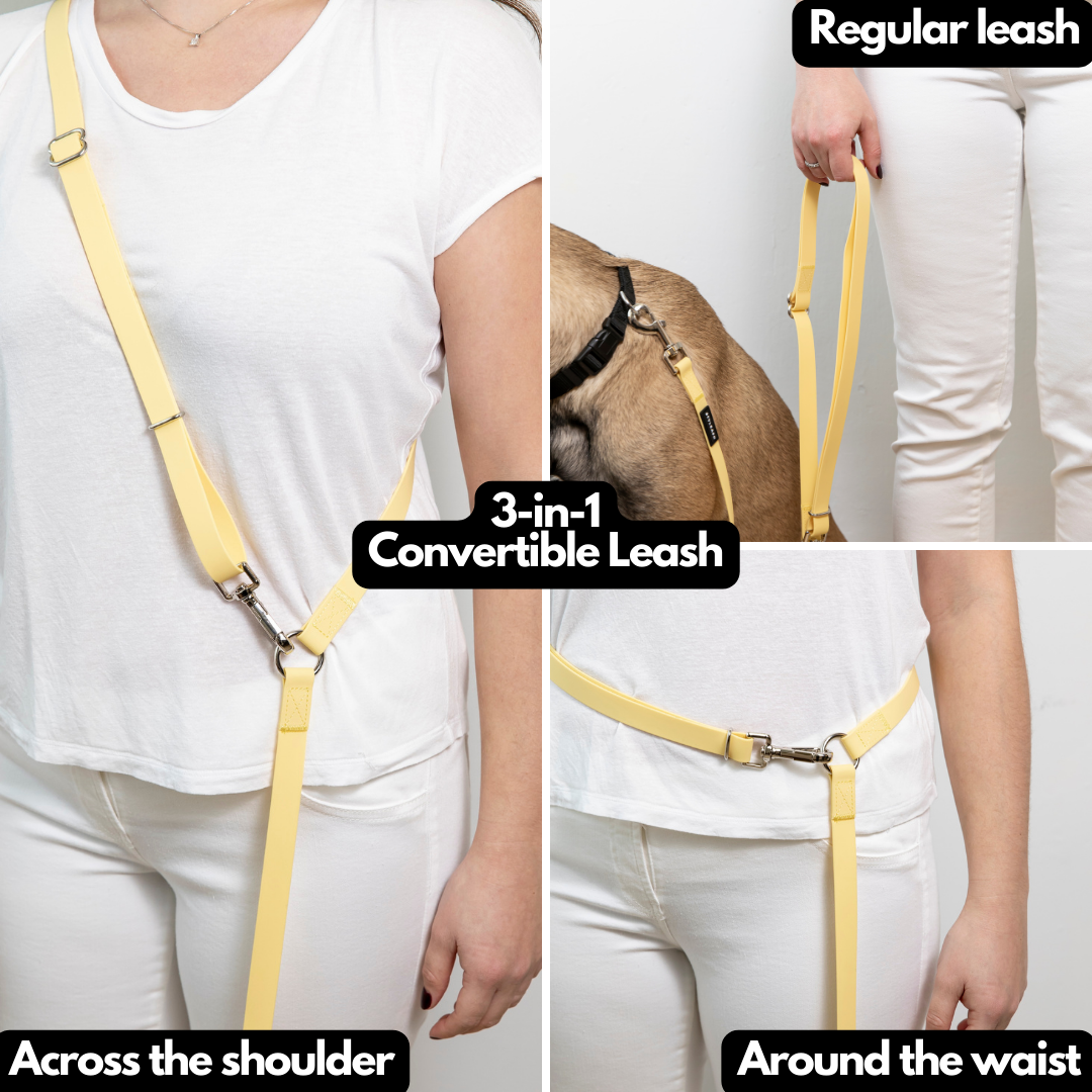 Laisse pour chien mains libres - Styleash par Camstrap