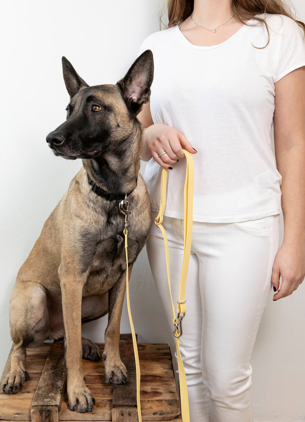 Laisse pour chien mains libres - Styleash par Camstrap