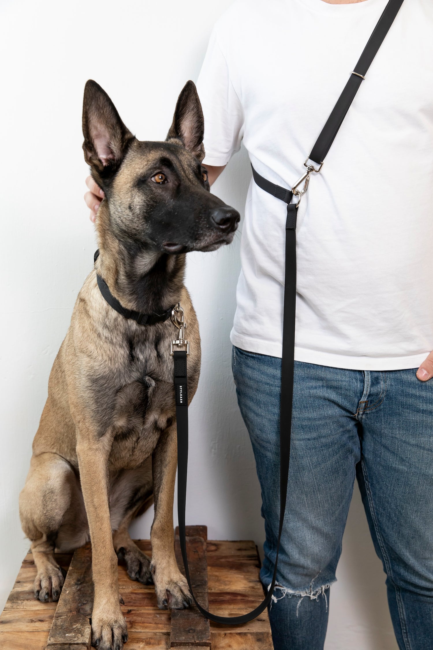 Laisse pour chien mains libres - Styleash par Camstrap
