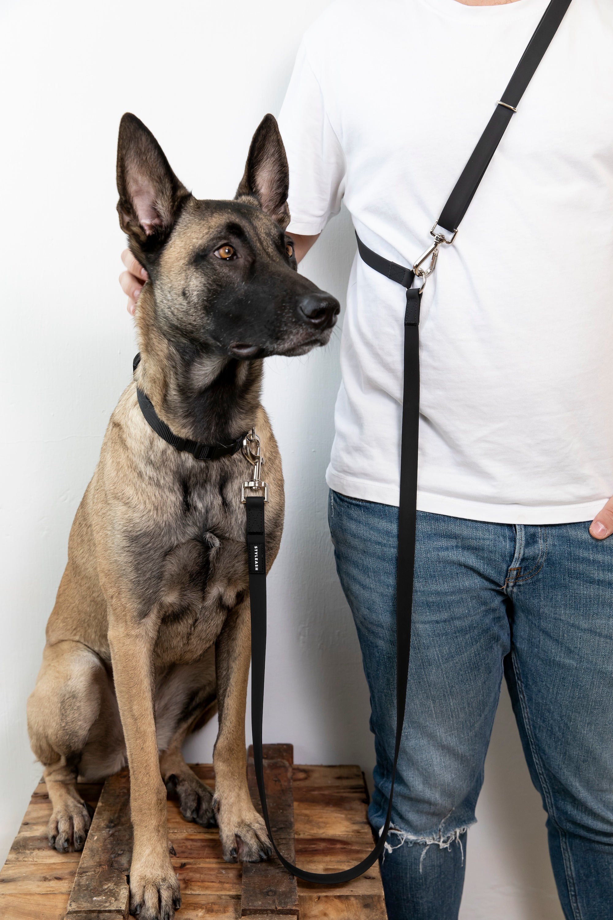 Laisse pour chien mains libres - Styleash par Camstrap
