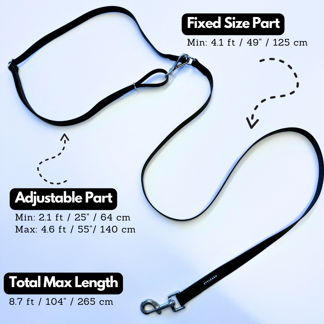 Laisse pour chien mains libres - Styleash par Camstrap