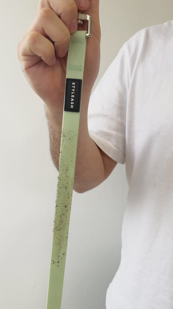 Laisse pour chien mains libres - Styleash par Camstrap