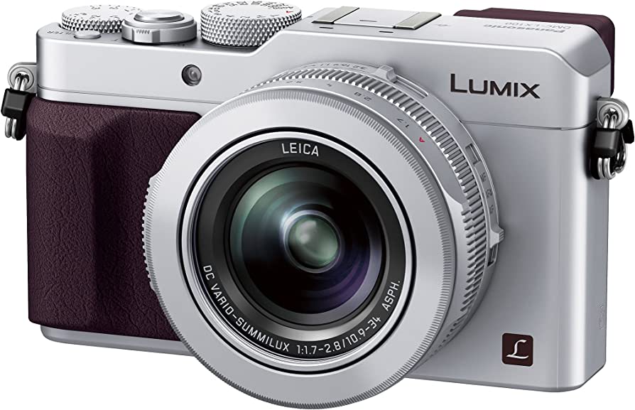 Quelle sangle mains libres appareil photo pour Lumix LX100 - Camstrap