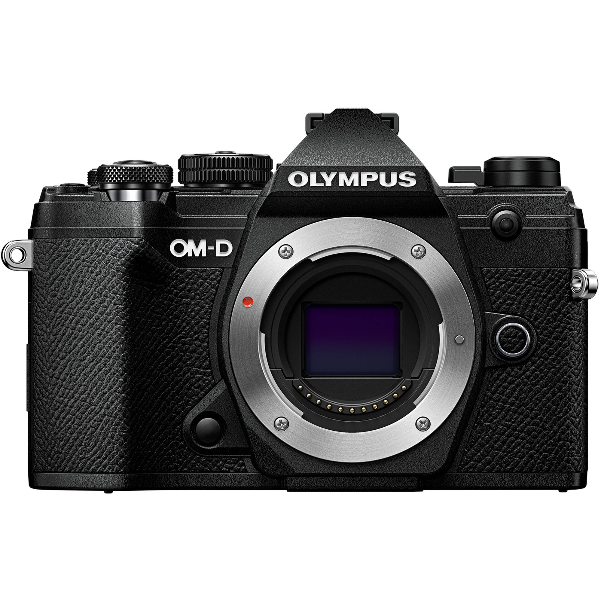 Quelle sangle mains libres appareil photo pour Olympus OM-D E-M5 Mark III - Camstrap