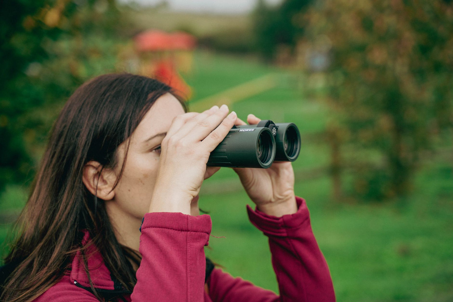 Best Binocular Harnesses for Birdwatching and Wildlife (2026) — featured