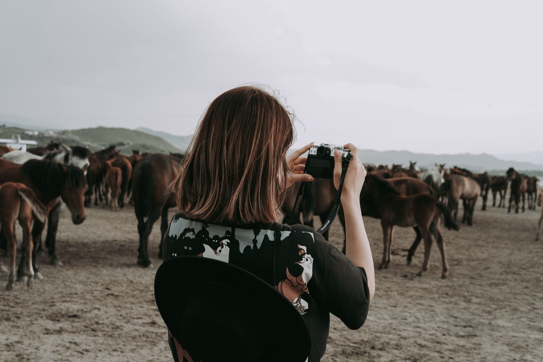 Reading animal behavior before you raise the camera — featured
