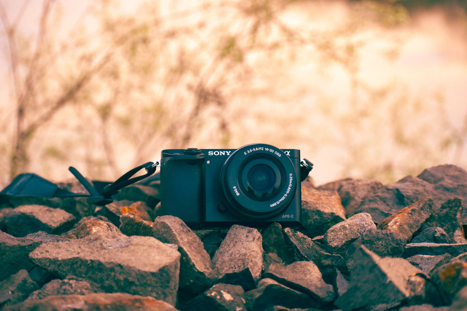 Travel Light: Using Compact Mirrorless Cameras for Summer Explorations — featured