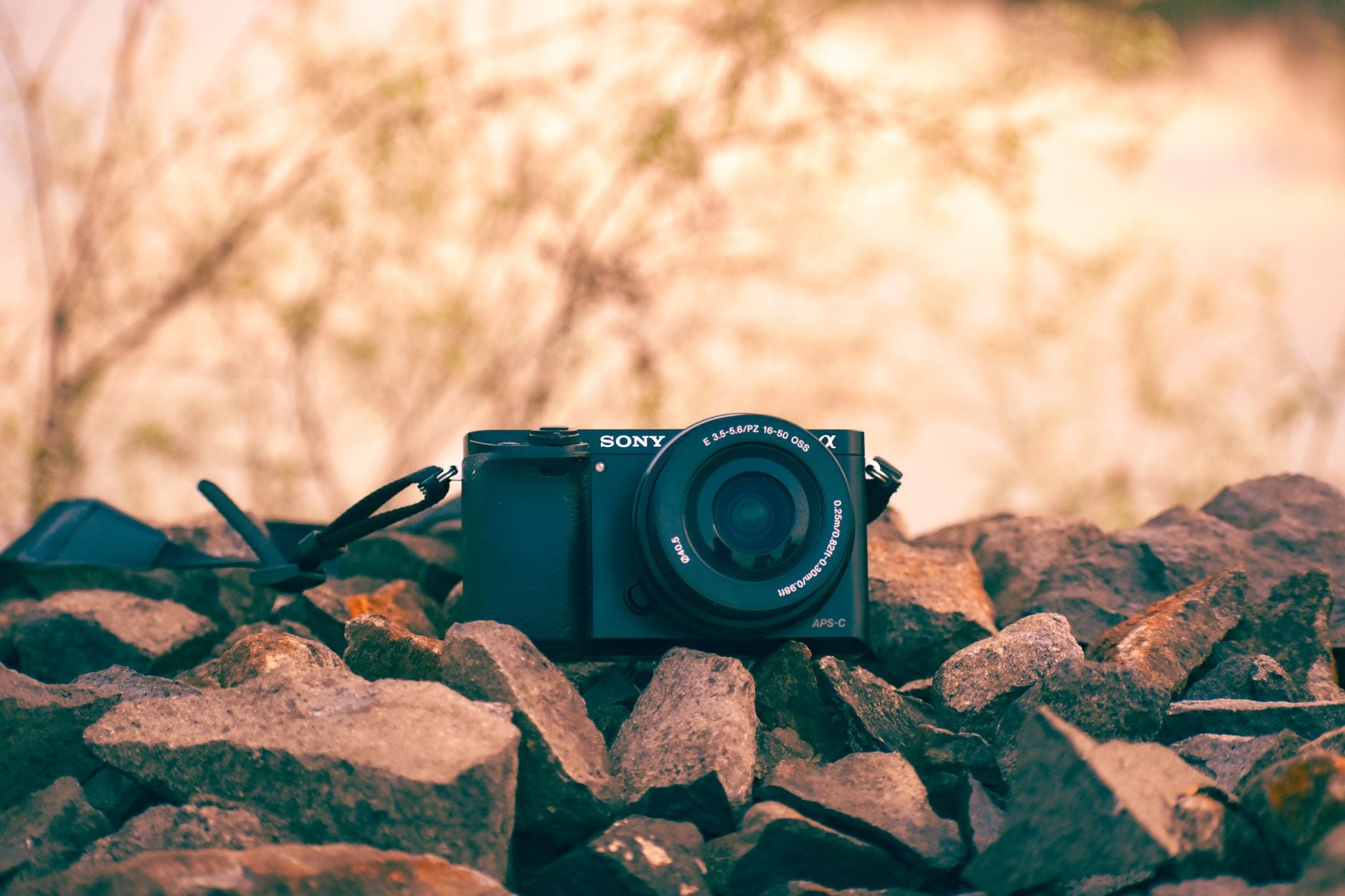 Travel Light: Using Compact Mirrorless Cameras for Summer Explorations — featured