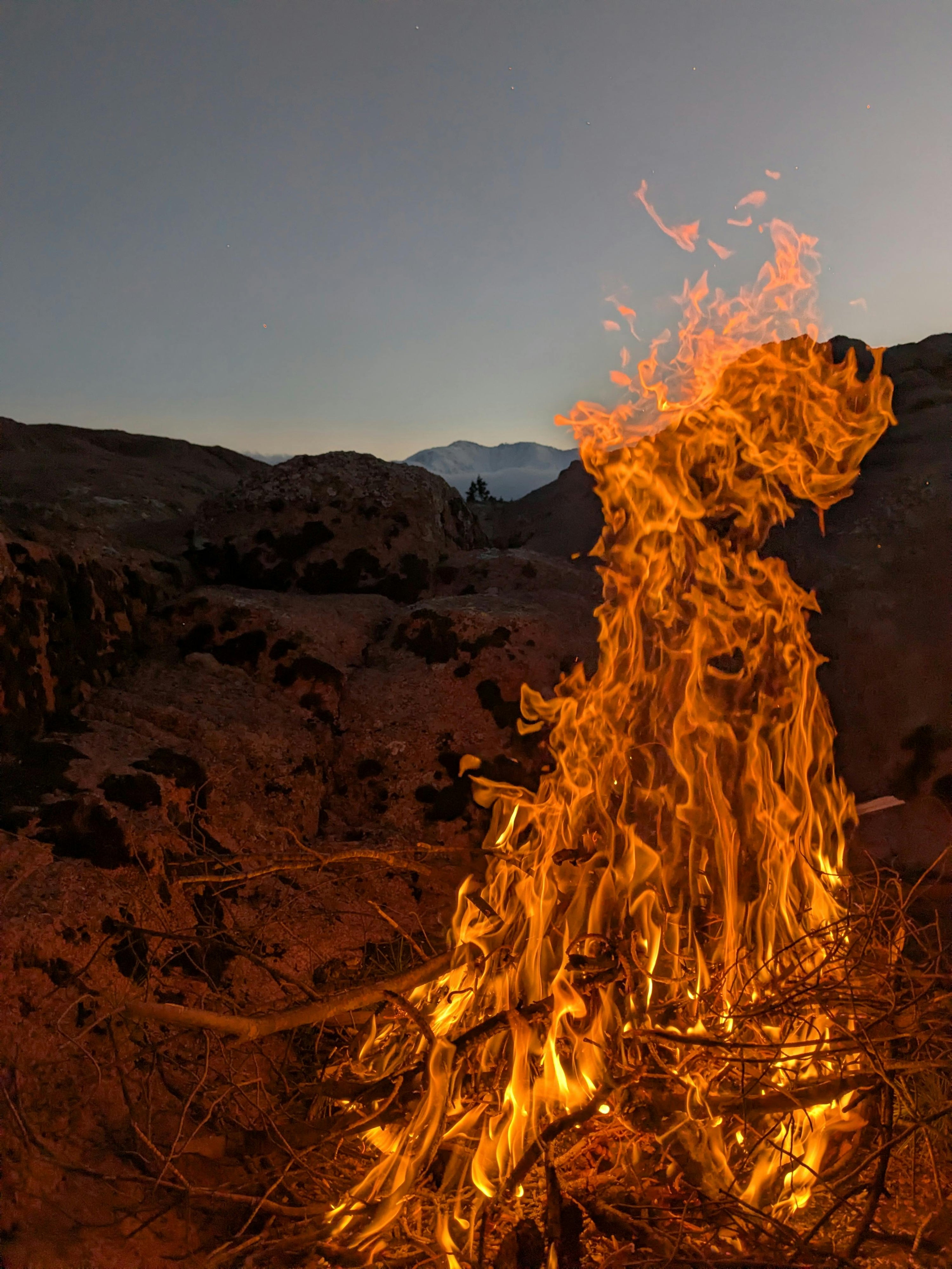 How Camstrap-Friendly Carry Improves Adventure Photography Safety in 2025