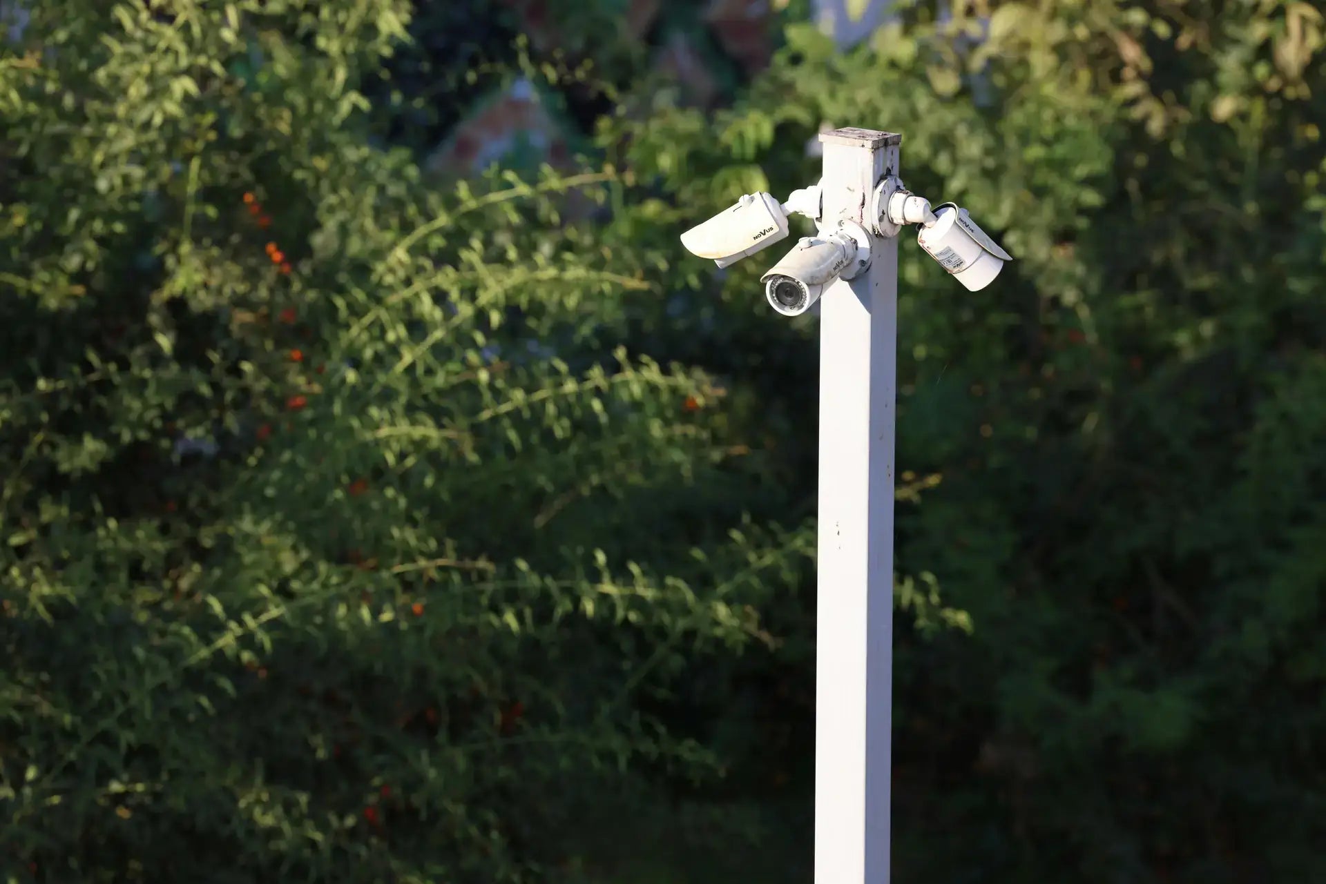 The Importance of Camera Security: Why the Camstrap Magclip is a Must-Have in 2026