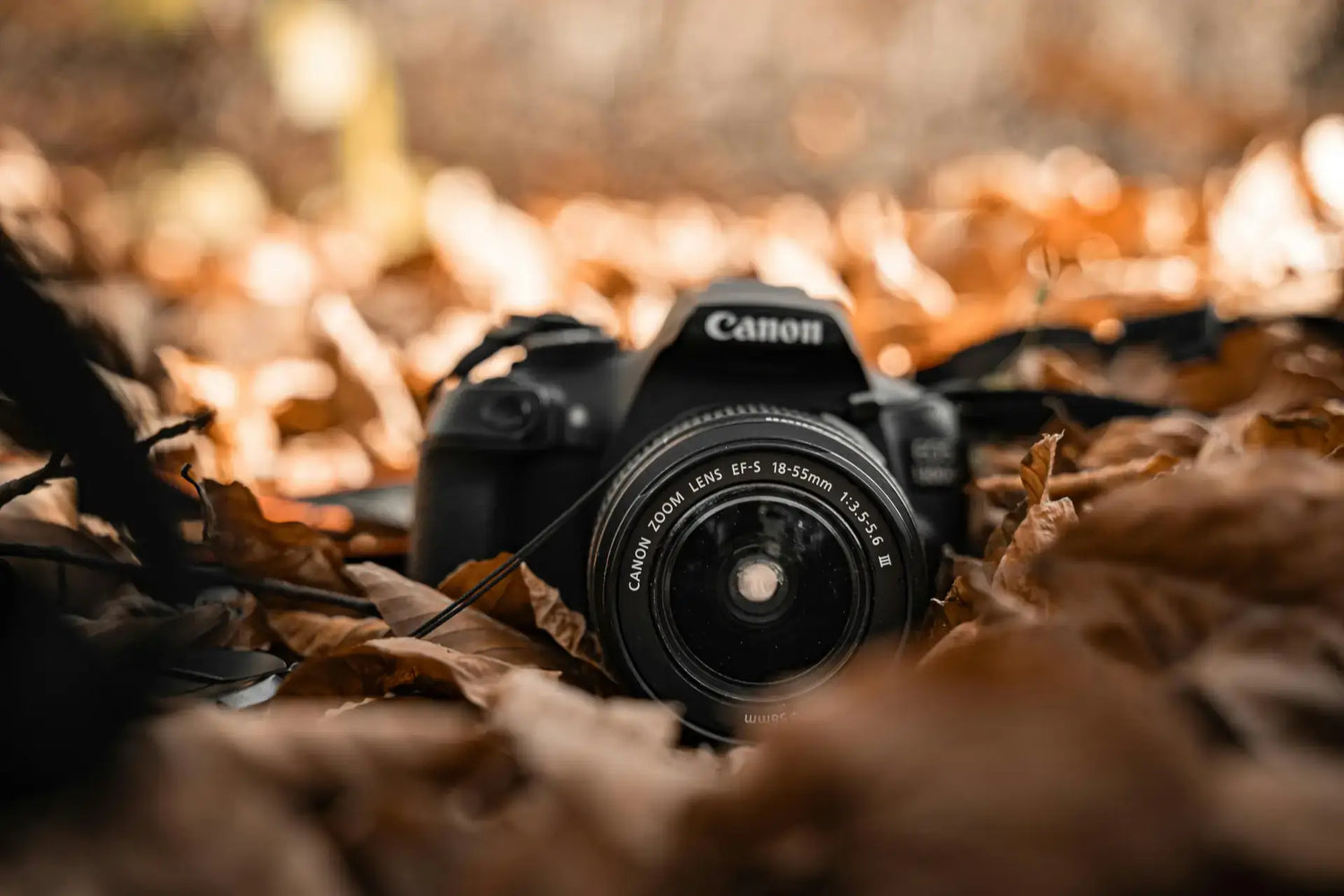 Affordable Camera Accessories for Amateur Photographers: 2026 Must-Haves