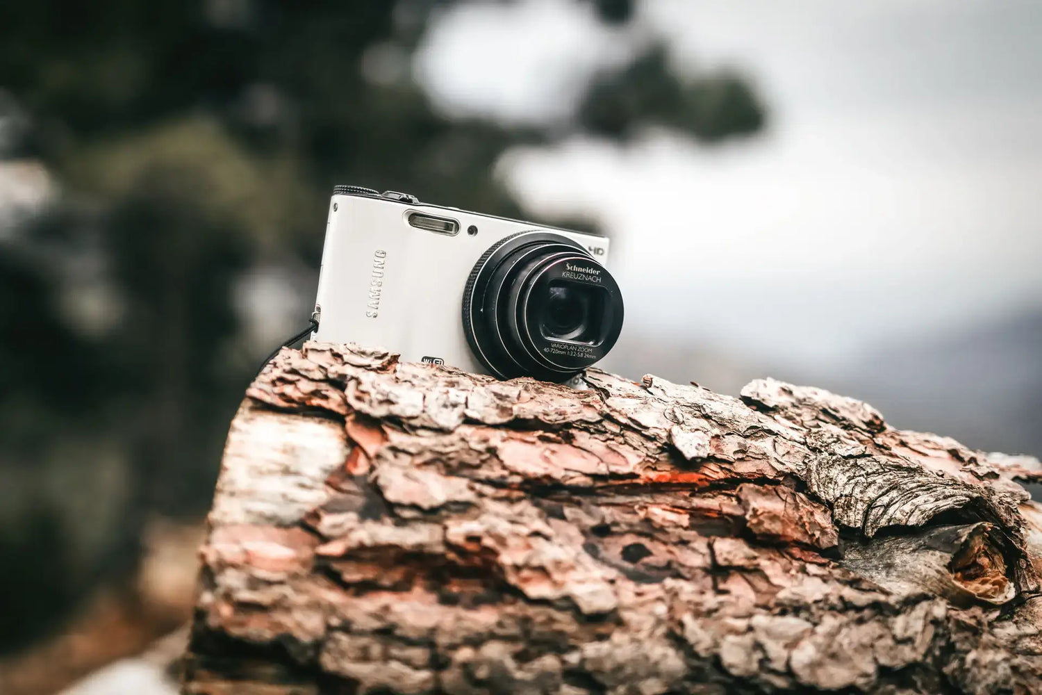 Exploring the World of Compact Cameras: Why the Camstrap Explorer is Essential for Travelers — featured