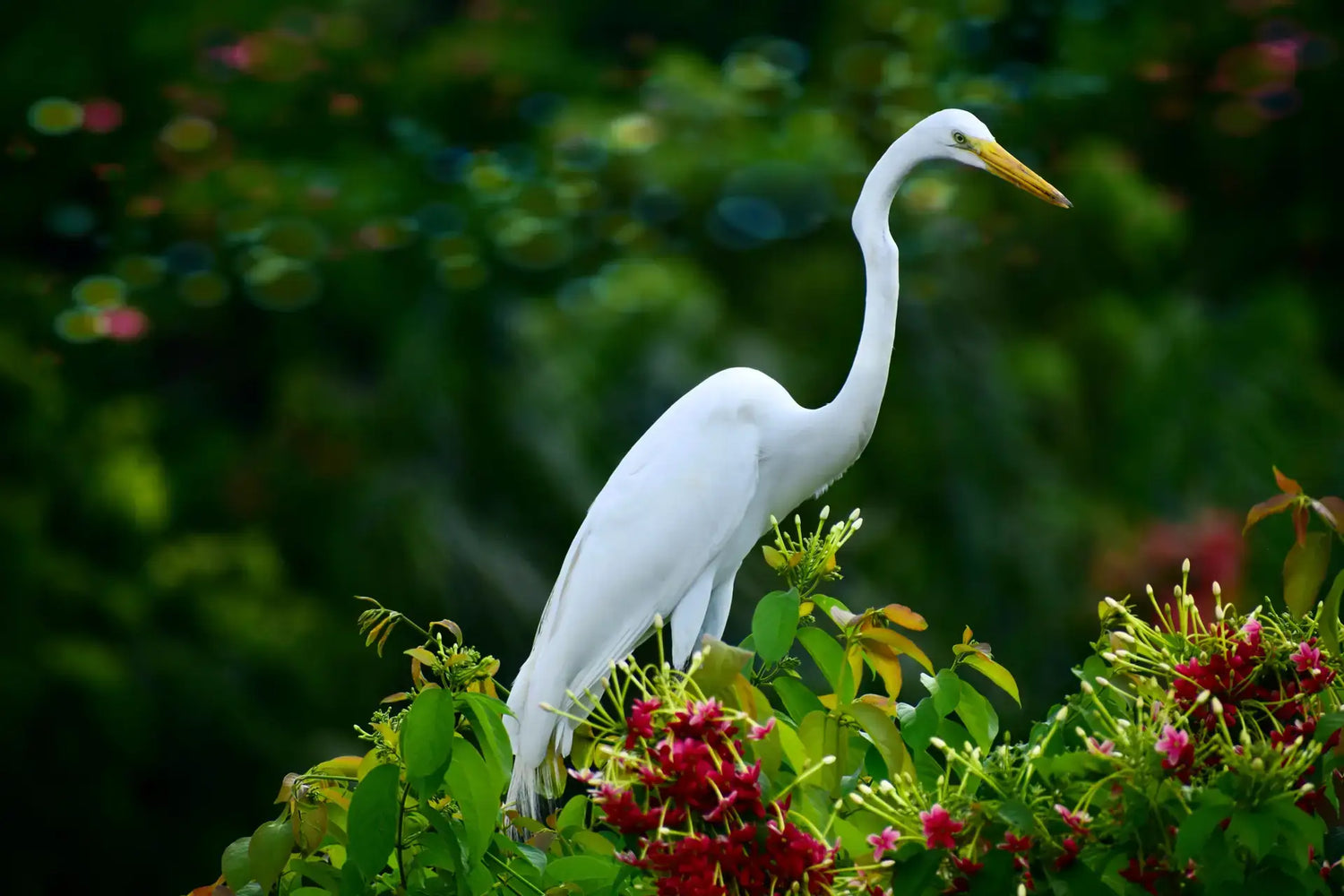 Inspiration from the Wild: Capturing Nature’s Beauty with the Right Gear in 2026 — featured