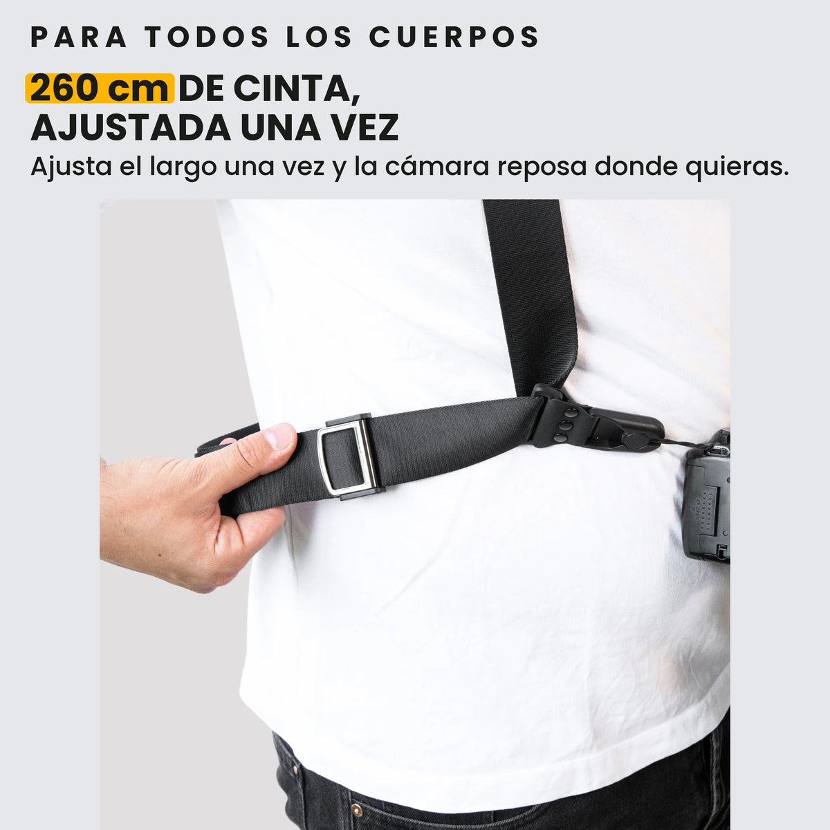 explorer-bodysize-v7_es.webp