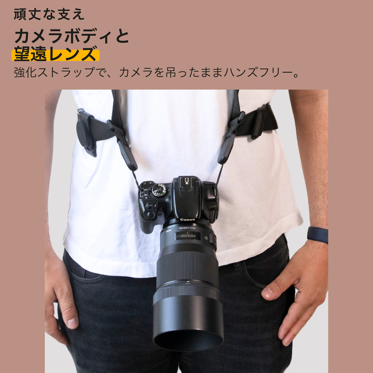 explorer-robust-v7_ja.webp